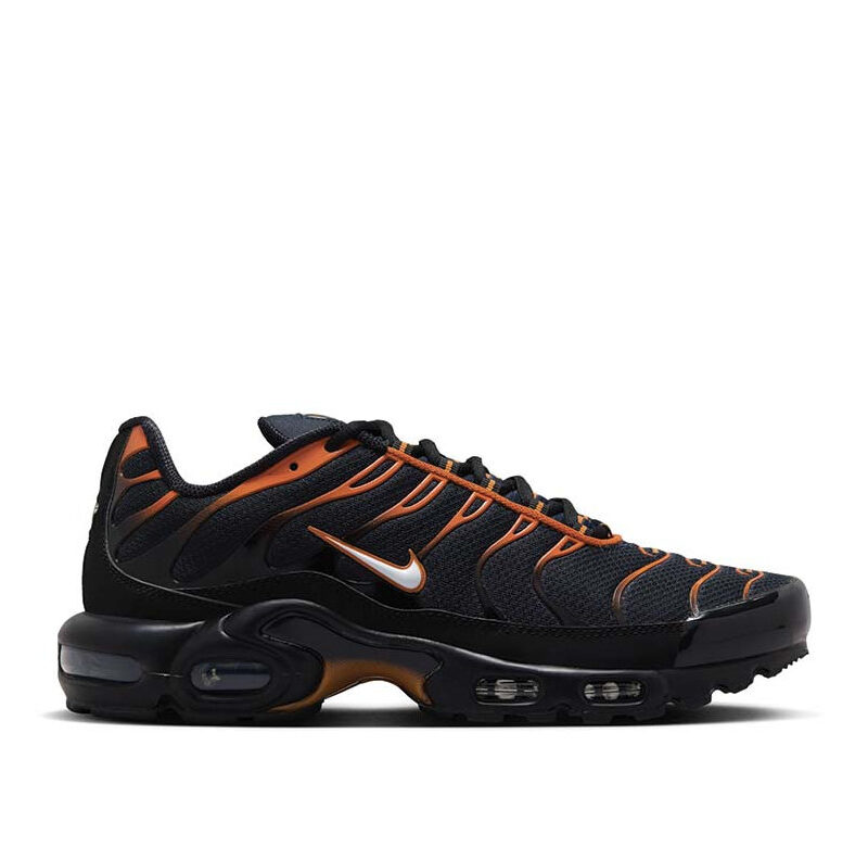 Nike Air Max Plus "Wolf Grey"