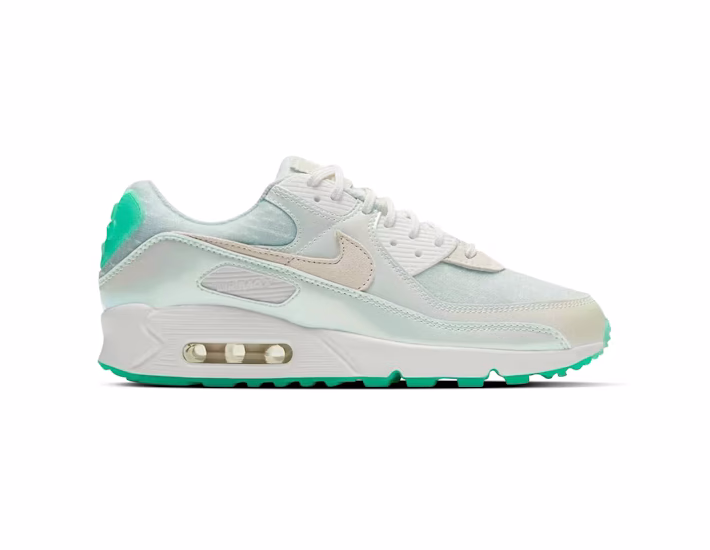 Nike Air Max 90 The Future is Clear