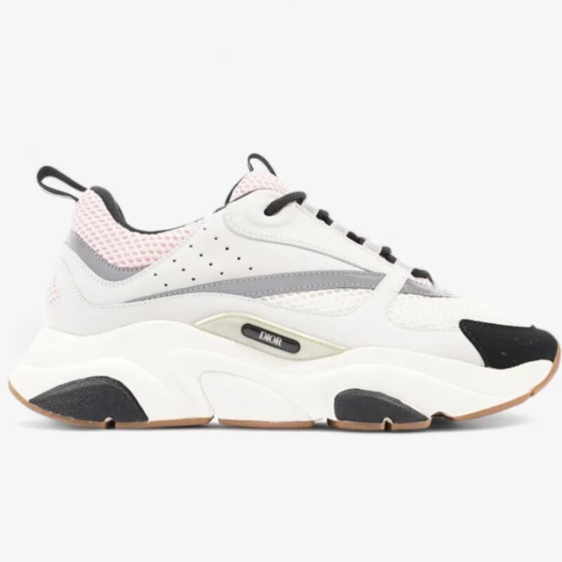 Dior B22