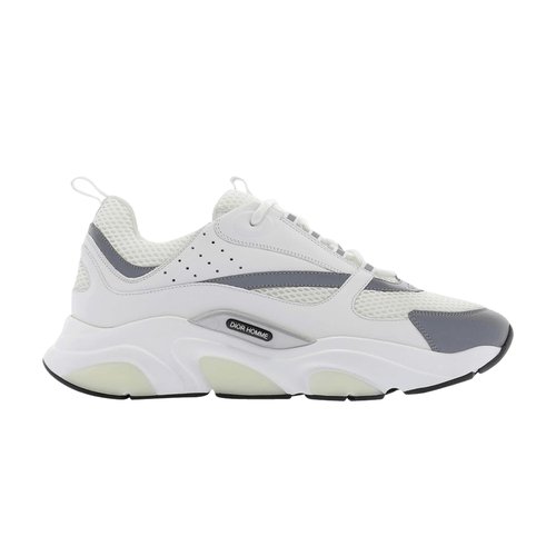 Dior B22 White Grey