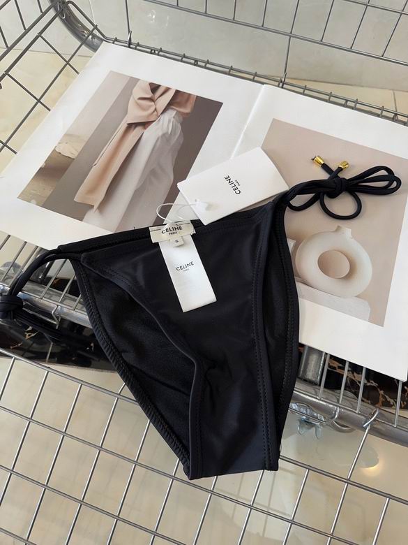 Celine S-L (6)_2455503